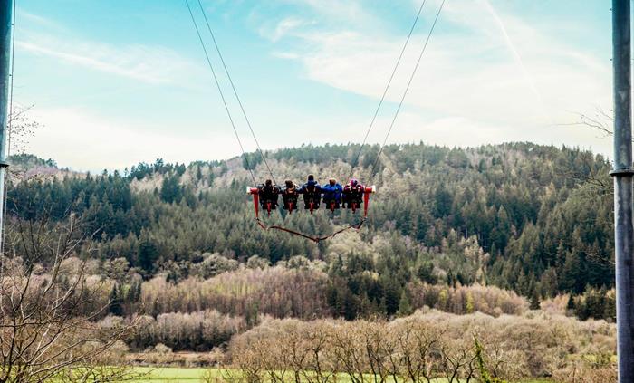 Swing between the trees on Skyride